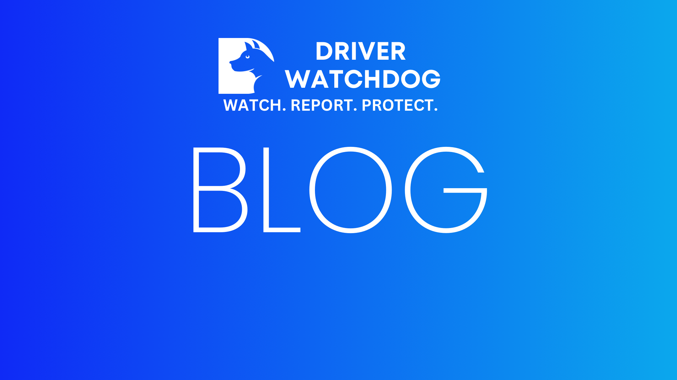 Don’t Be Fooled: How Bot Users Deceive Other Spark Drivers